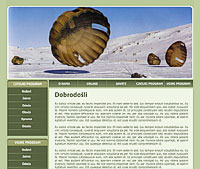 Branding and indenity, domain and hosting, DHTML, Java Script, search engine optimization